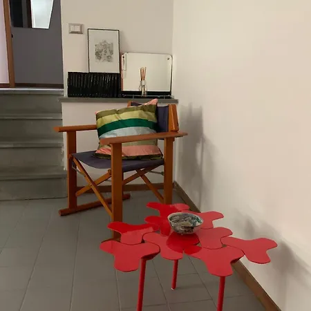 Barilari 16 *